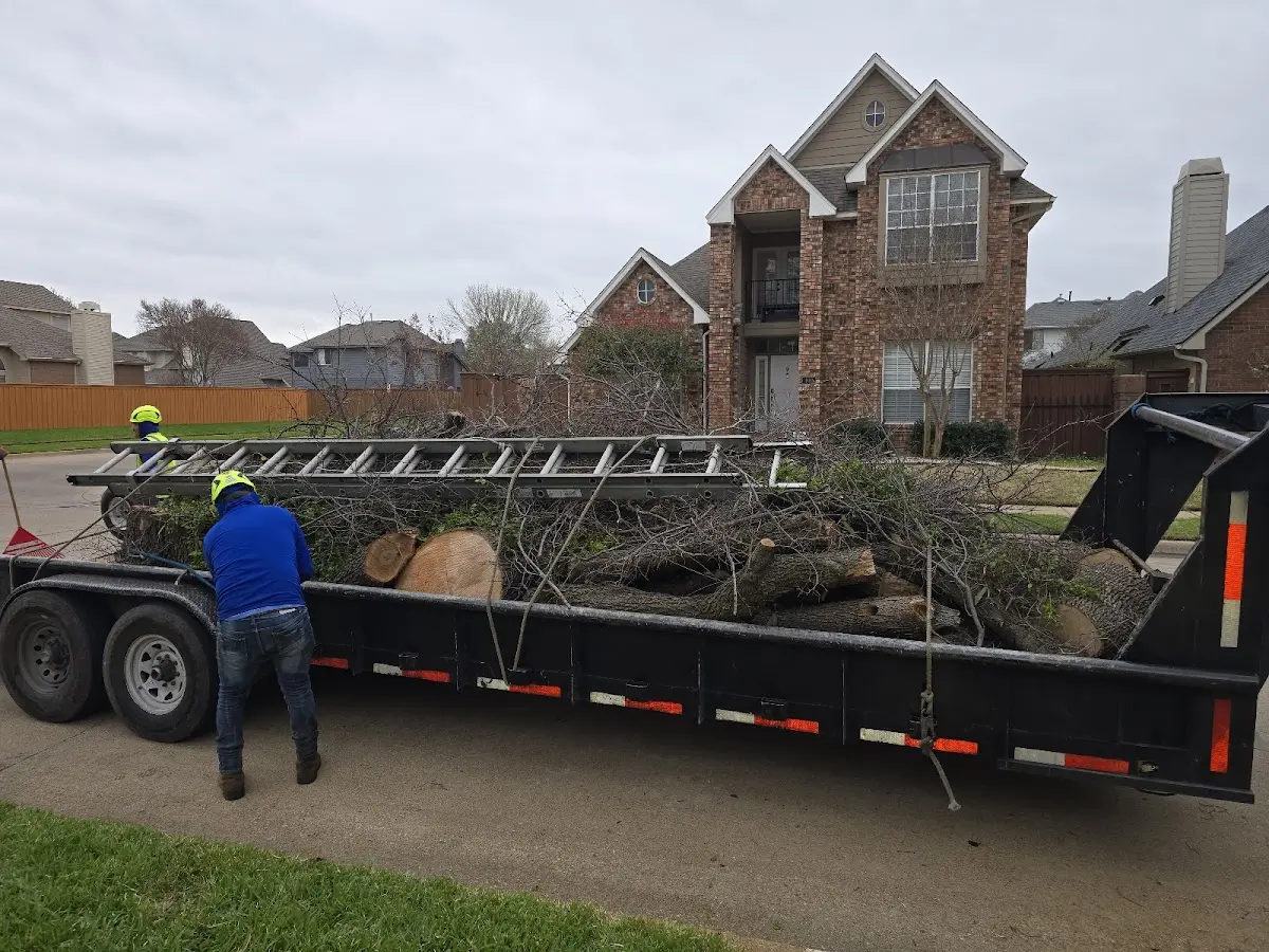 Expert Tree Pest Control with proper safety equipment in Hazleton